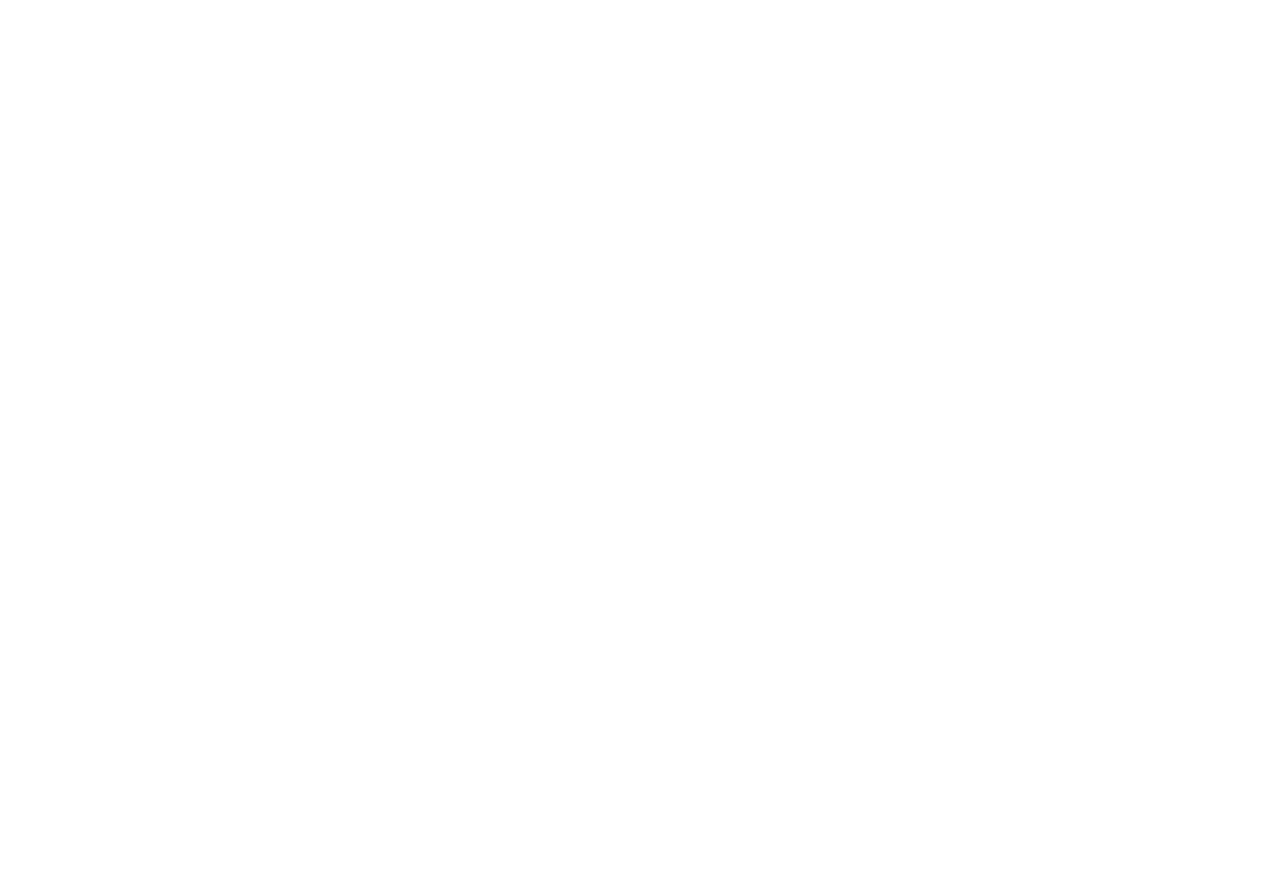 Lazzari Arizona